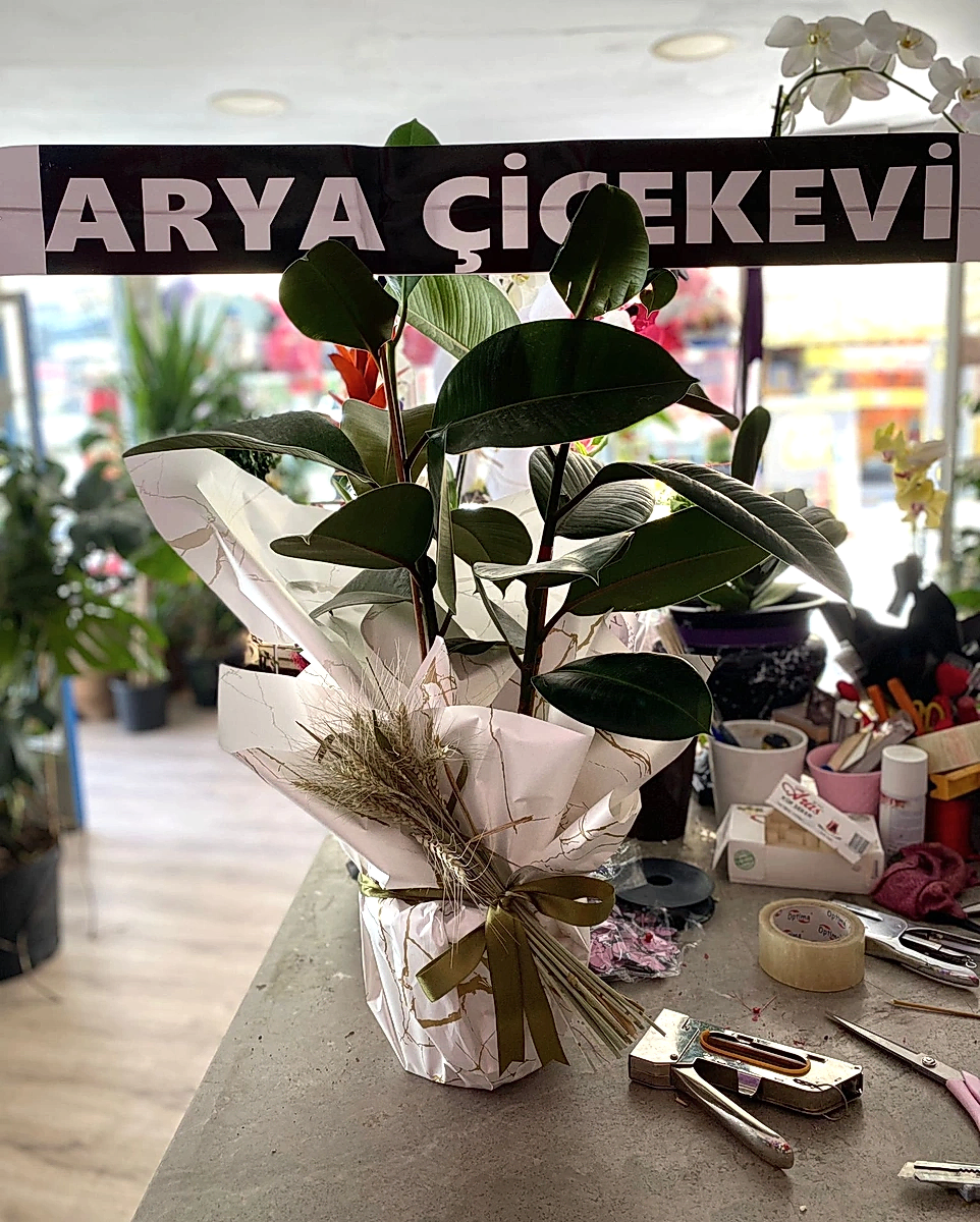 Afyon Çiçekçi Telefonları
